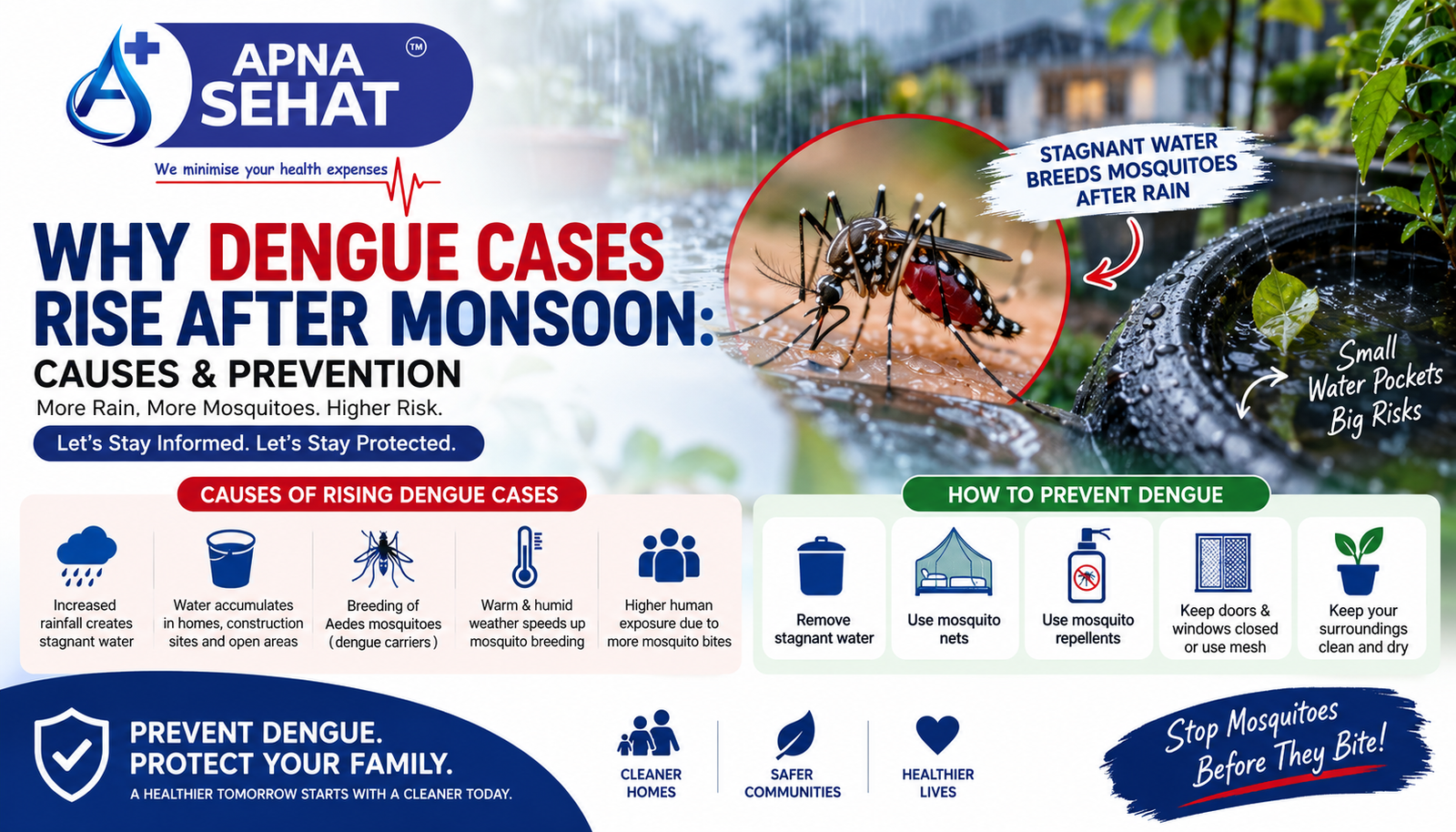 Why Dengue Cases Rise After Monsoon: Causes, Prevention & Early Symptoms